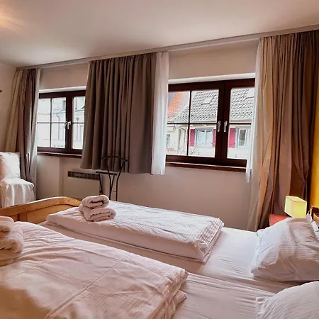 Im Seepalais Apartment Langenargen
